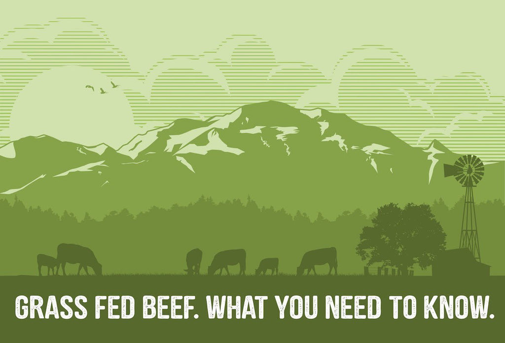 Grass Fed Beef | What You Need to Know