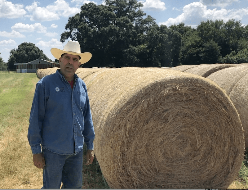 The Hay We Feed Our Cattle