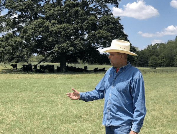 How Do Cattle Live on the JT2 Beef Ranch?